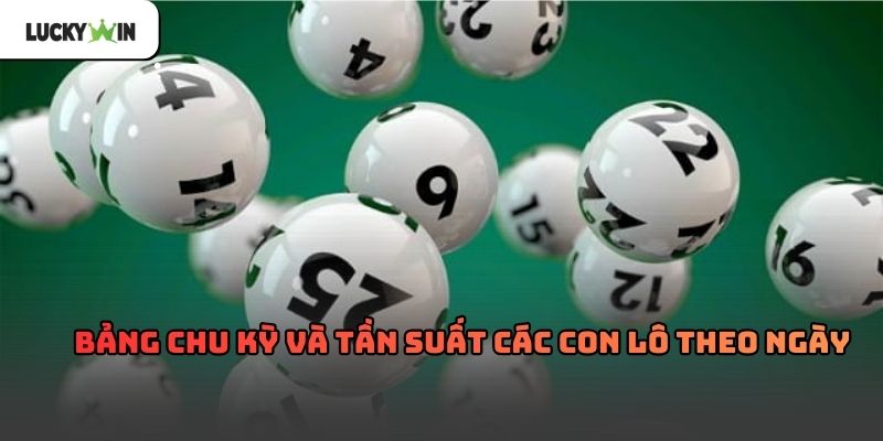 Soi Cầu Việt Chuẩn Xác Theo Thống Kê Thực Tế Năm 2026